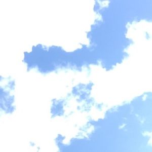 Meet your Posher, Sophia